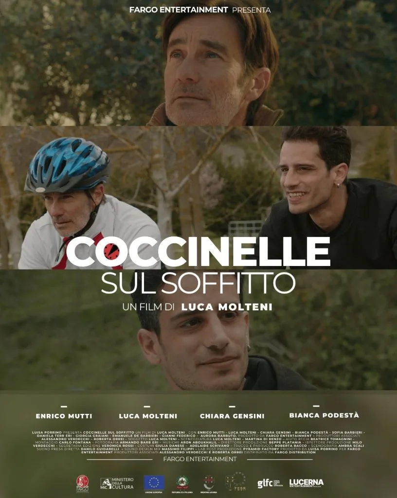coccinelle